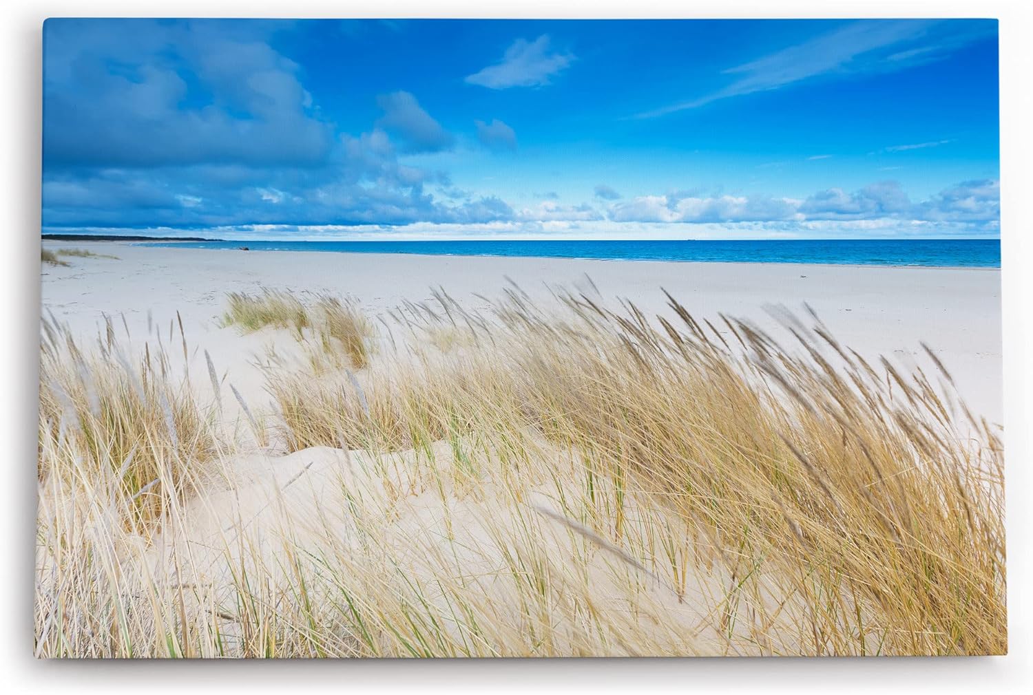 Paul Sinus Wandbild 120x80cm Ostsee Strand Sandstrand Meer blauer Himmel Sommer