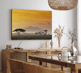 Paul Sinus Wandbild 120x80cm Afrika Mount Kenya Burkea Bäume Wildnis Abenddämmerung