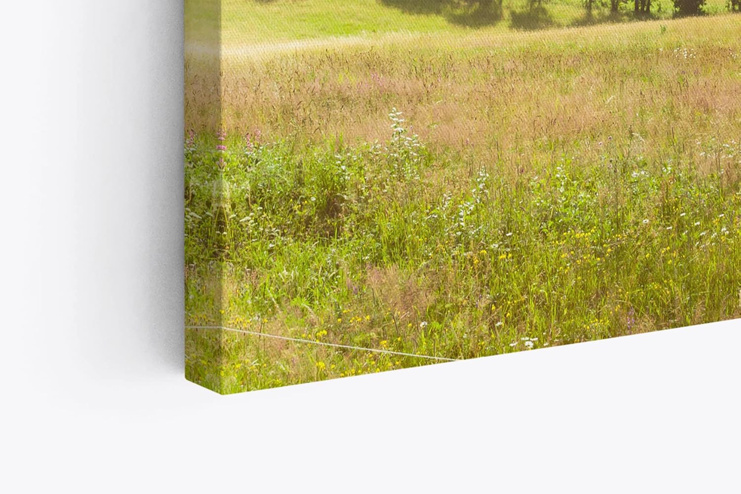 Paul Sinus Wandbild 120x80cm Landschaftsbild Natur Feld Berge Sommer Sonnenschein