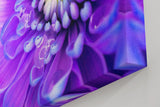 Sinus Art Wandbild 120x80cm Faszinierende Makroaufnahme einer violetten Blüte mit feinen Strukturen und natürlicher Tiefe