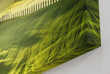 Sinus Art Wandbild 120x80cm Tief liegendes Licht über grünen Hügeln mit typischer Zypressenallee und Bauernhof