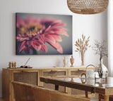 Paul Sinus Wandbild 120x80cm Gerbera Blume Blüte Rosa Nahaufnahme Kunstvoll