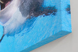 Sinus Art Wandbild 120x80cm Freundlicher Delfin in klarem Wasser – ein lebendiges und positives Motiv