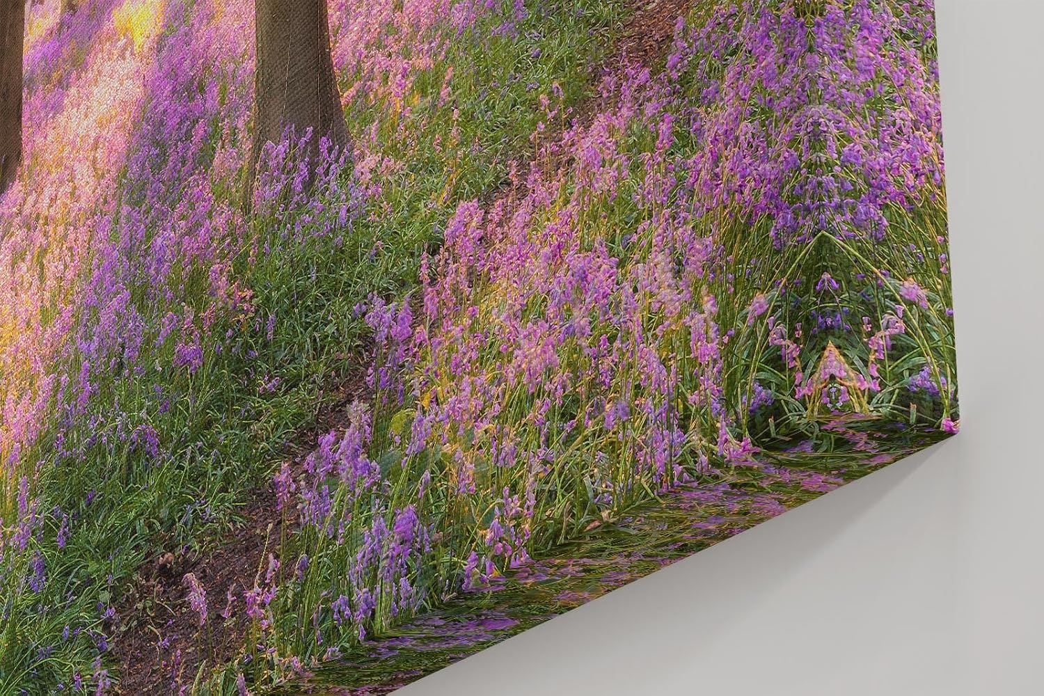 Sinus Art Wandbild 120x80cm Waldszene mit violetten Blüten und einfallender Sonne für verträumte Atmosphäre