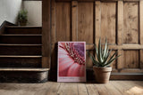 Paul Sinus Kunstdruck 40x60cm Floral Curve mit Makroaufnahme einer rosa Blüte in sanfter Kurve