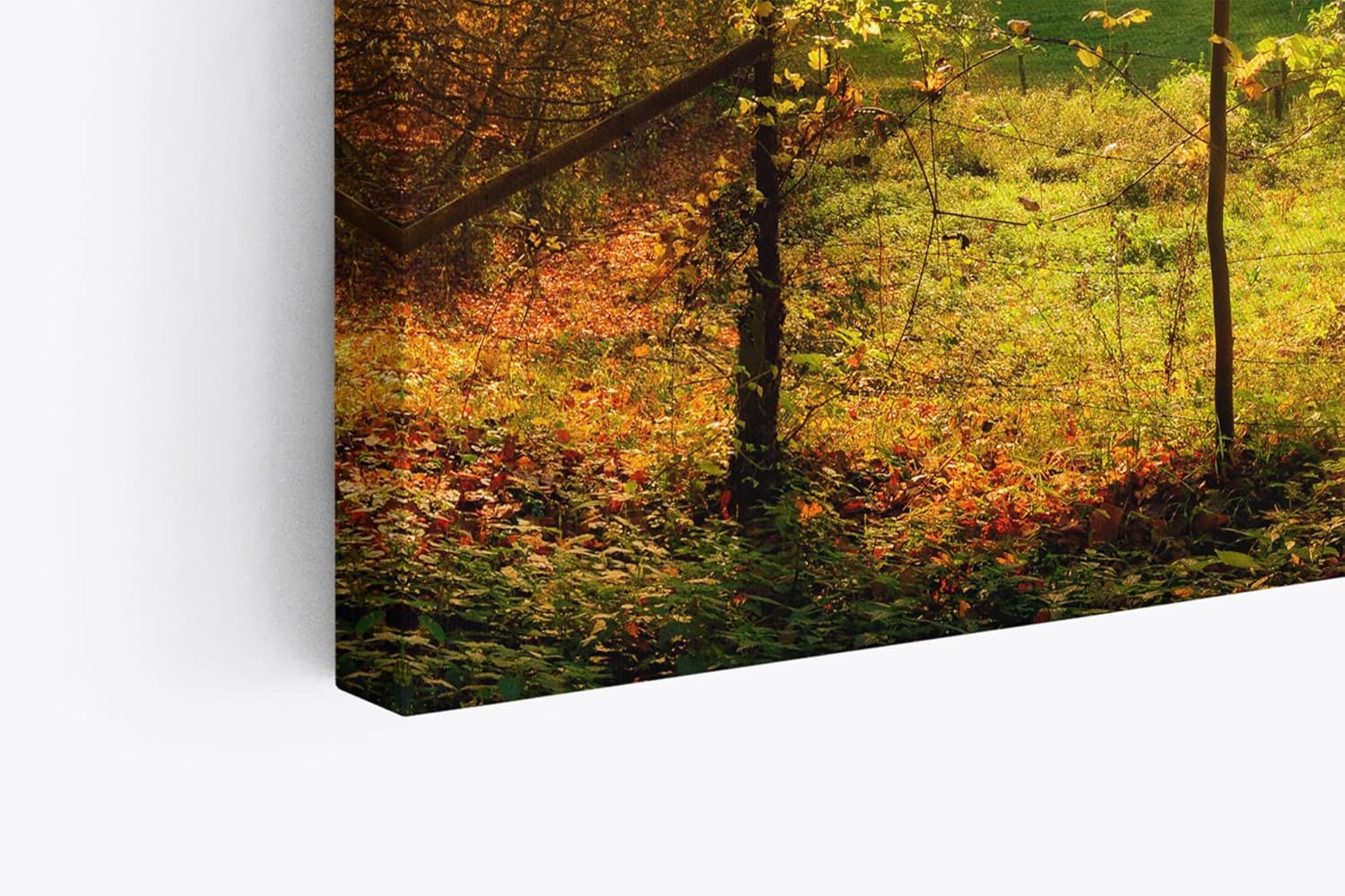 Paul Sinus Wandbild 120x80cm Deutsche Landschaft Wiese Bäume Sonnenschein Herbst