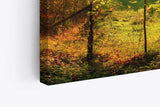 Paul Sinus Wandbild 120x80cm Deutsche Landschaft Wiese Bäume Sonnenschein Herbst