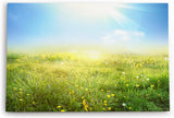 Paul Sinus Wandbild 120x80cm Sommerwiese Wiese Gras Sonnenschein Sommer