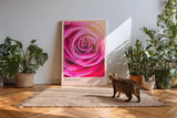 Paul Sinus Kunstdruck 40x60cm Pink Rose Nahaufnahme Blüte Rosa Makro Blume Romantik