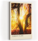 Paul Sinus Kunstdruck 40x60cm Forest Flare – Sonnenstrahlen im goldenen Herbstwald mit leuchtendem Laub