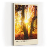 Paul Sinus Kunstdruck 40x60cm Forest Flare – Sonnenstrahlen im goldenen Herbstwald mit leuchtendem Laub