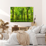 Paul Sinus Wandbild 120x80cm Wald Bäume Sonnenstrahlen Natur Grün Blätter
