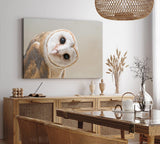 Paul Sinus Wandbild 120x80cm Schleiereule Eule mit geneigten Kopf Tierfotografie