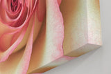 Sinus Art Wandbild 120x80cm Ästhetisches Rosenmotiv mit romantischer Ausstrahlung und Tiefe