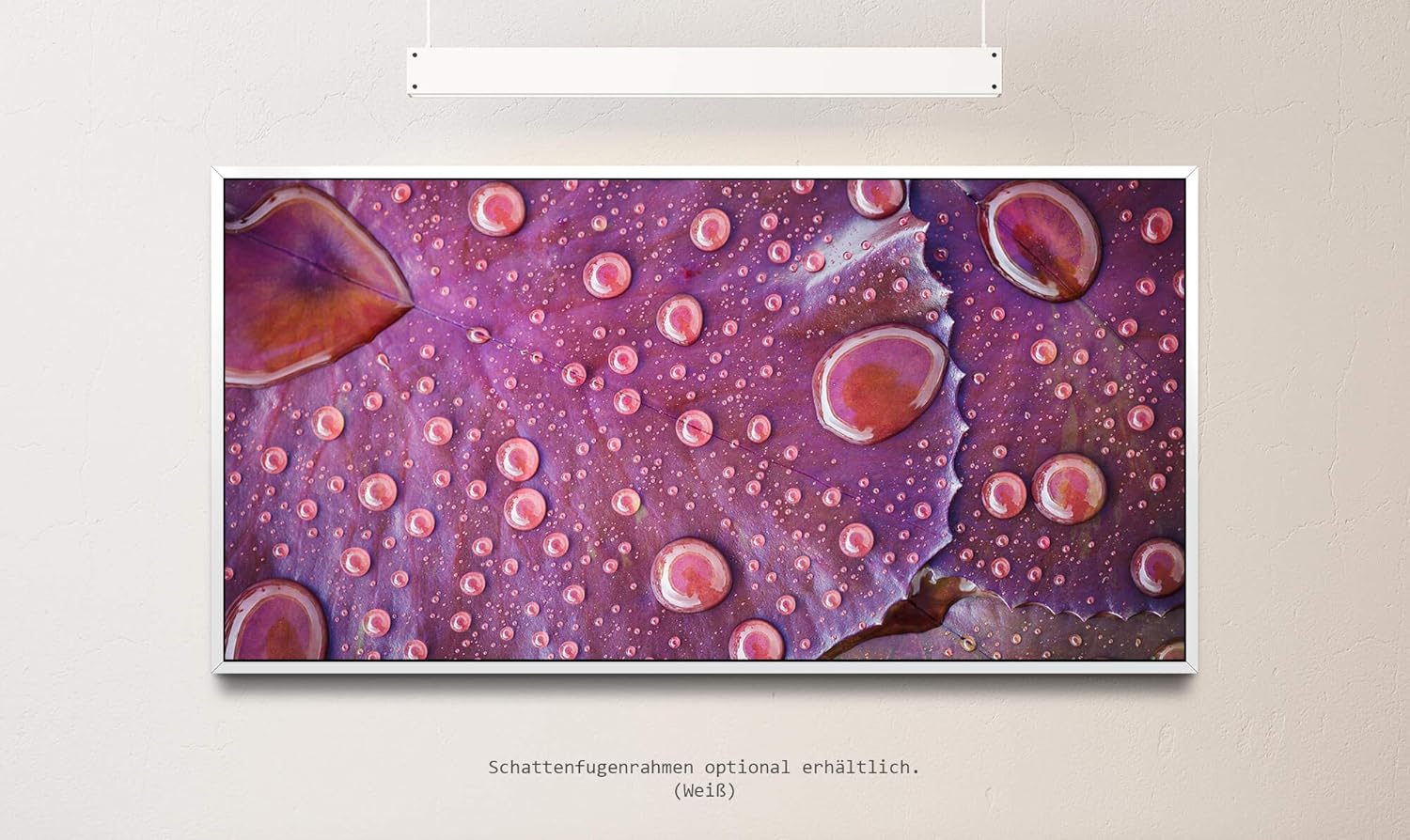 Wassertropfen auf einem Blatt ca. 130x70cm Wandbild inklusive Schattenfugenrahmen weiss - Panorama Leinwand Bild XXL Format Wandbilder Wohnzimmer Wohnung Deko Kunstdrucke