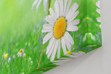 Sinus Art Wandbild 120x80cm Nahaufnahme mit Gänseblümchen und Marienkäfer auf unscharfem Frühlingshintergrund