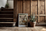 Paul Sinus Kunstdruck 40x60cm Koala Australia – Sanfter Koala in Nahaufnahme als Symbol für Ruhe und Naturverbundenheit
