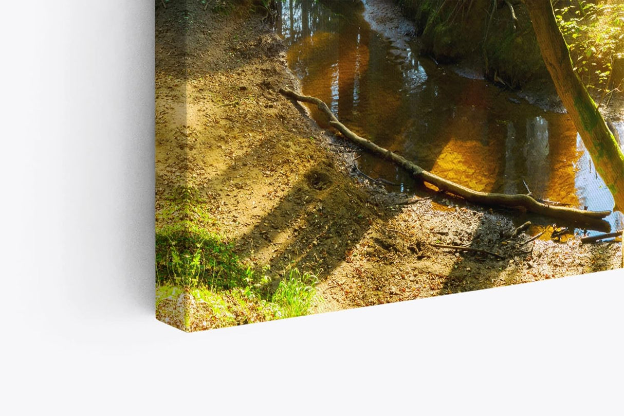 Paul Sinus Wandbild 120x80cm Wald Bäume Bach Sonnenstrahlen Natur Grün