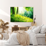 Paul Sinus Wandbild 120x80cm Wald Bäume Grün Pusteblumen Wiese Gras Sonnenschein