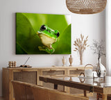 Paul Sinus Wandbild 120x80cm Frosch grünes Blatt Natur Grün Pflanze Fotokunst Regenwald