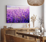 Paul Sinus Wandbild 120x80cm Lavendelfeld Lavendel Blumen Violett Wildblumen Blüten