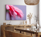 Paul Sinus Wandbild 120x80cm Blume Blüte Rosa Makroaufnahme Kunstvoll Dekorativ