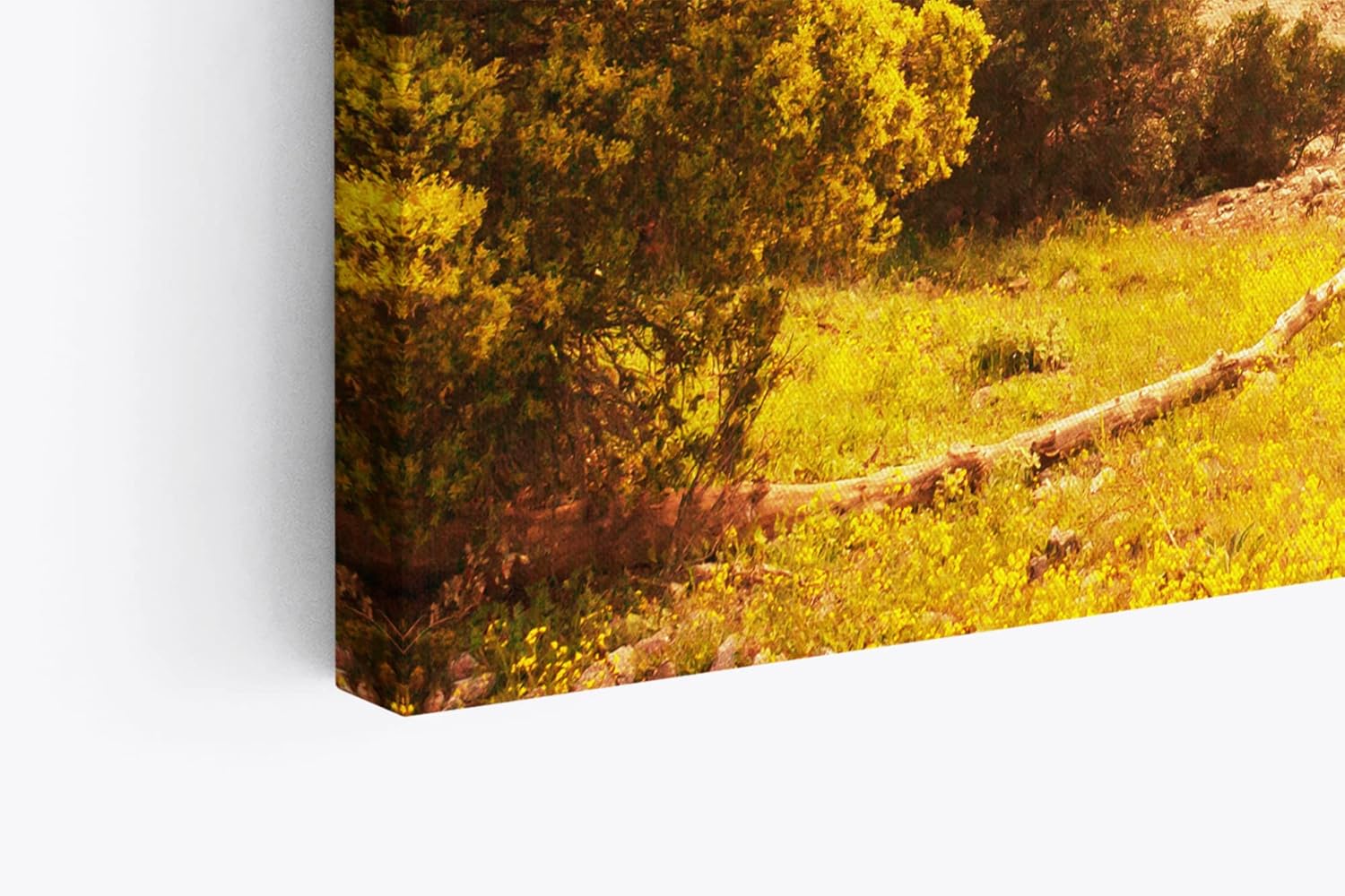 Paul Sinus Wandbild 120x80cm Meteora Kloster Griechenland Steinsäulen Landschaft Berge