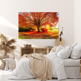 Paul Sinus Wandbild 120x80cm Großer Baum Feld Sonnenuntergang Herbst Laub