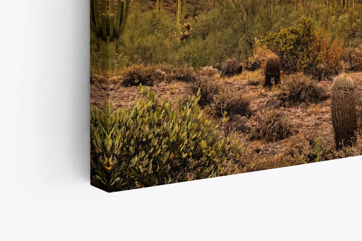 Paul Sinus Wandbild 120x80cm Mexikanische Landschaft Kaktus roter Himmel Sonnenuntergang