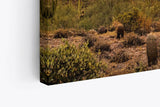Paul Sinus Wandbild 120x80cm Mexikanische Landschaft Kaktus roter Himmel Sonnenuntergang