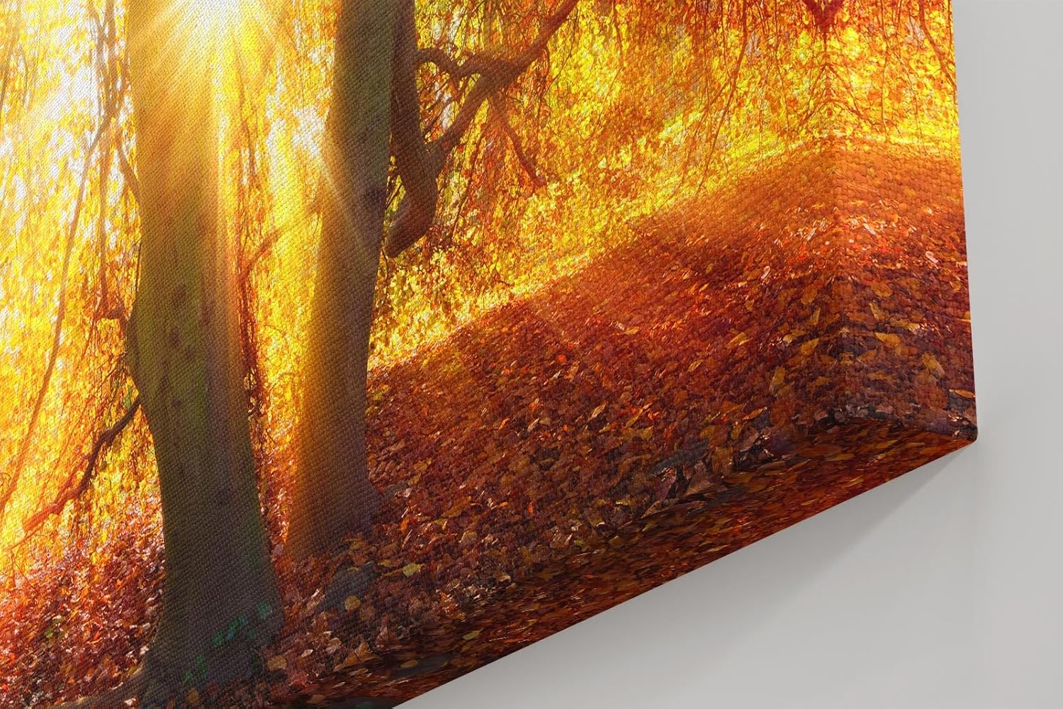 Sinus Art Wandbild 120x80cm Sonnenstrahlen brechen durch goldene Baumkronen und schaffen eine warme Atmosphäre