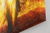 Sinus Art Wandbild 120x80cm Sonnenstrahlen brechen durch goldene Baumkronen und schaffen eine warme Atmosphäre