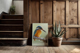 Paul Sinus Kunstdruck 40x60cm Eisvogel auf Ast im Licht – Ruhe, Farbe und Konzentration in einem Moment eingefangen