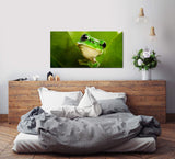 Frosch hinter Blättern ca. 130x70cm Wandbild inklusive Schattenfugenrahmen weiss - Panorama Leinwand Bild XXL Format Wandbilder Wohnzimmer Wohnung Deko Kunstdrucke