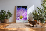 Paul Sinus Kunstdruck 40x60cm Lavender Heart Nahaufnahme violetter Blüte Where Light Meets Lush Detail