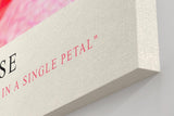 Paul Sinus Kunstdruck 40x60cm Rainbow Rose – Farbenpracht und Struktur in perfekter Harmonie