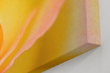 Sinus Art Wandbild 120x80cm Makroperspektive einer gelben Rose – Symbol für Freude, Wärme und Sanftheit
