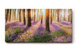 Sinus Art Wandbild 120x80cm Waldszene mit violetten Blüten und einfallender Sonne für verträumte Atmosphäre