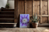 Paul Sinus Kunstdruck 40x60cm Electric Bloom – Nahaufnahme einer lila Blüte mit intensiver Mitte