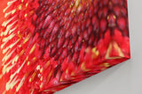 Sinus Art Wandbild 120x80cm Atemberaubende Nahaufnahme einer roten Blüte mit faszinierender Textur und Tiefe