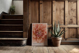 Paul Sinus Kunstdruck 40x60cm Dahlienblüte in Nahaufnahme – Stille Schönheit in zarten Farbverläufen eingefangen