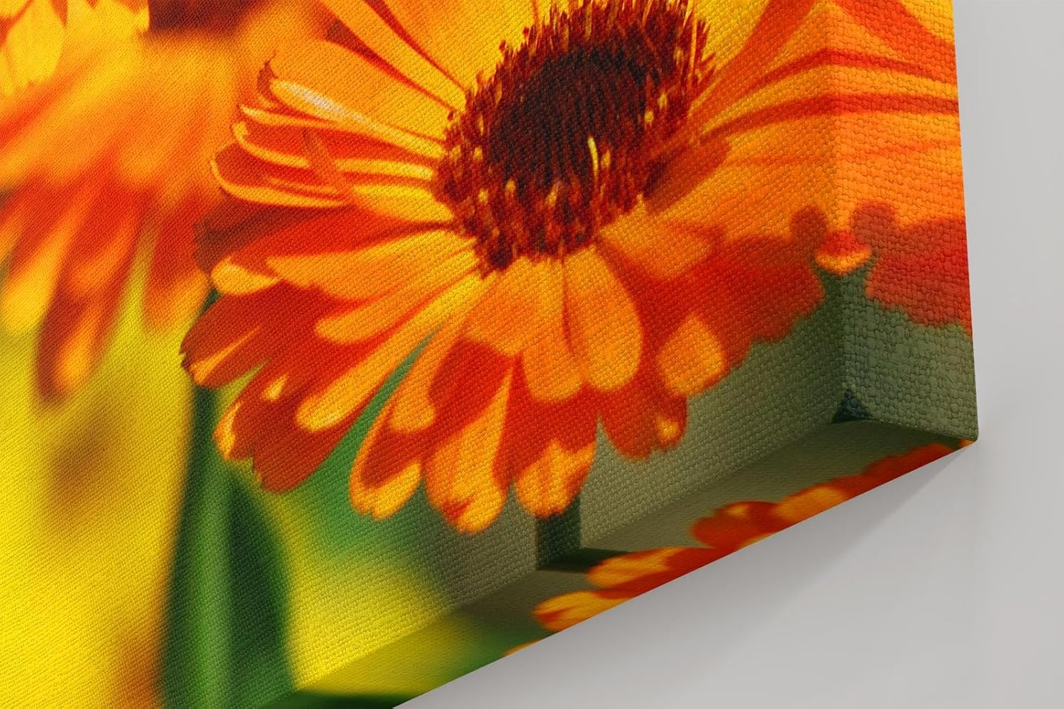 Sinus Art Wandbild 120x80cm Strahlende Ringelblumen in voller Blüte mit lebendiger Bildtiefe und Klarheit