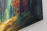 Sinus Art Wandbild 120x80cm Waldweg durch herbstlich gefärbten Wald mit Lichtspiel für gemütliche Raumwirkung