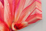 Sinus Art Wandbild 120x80cm Blüte in Pink mit Tautropfen – faszinierende Struktur und frische Ästhetik