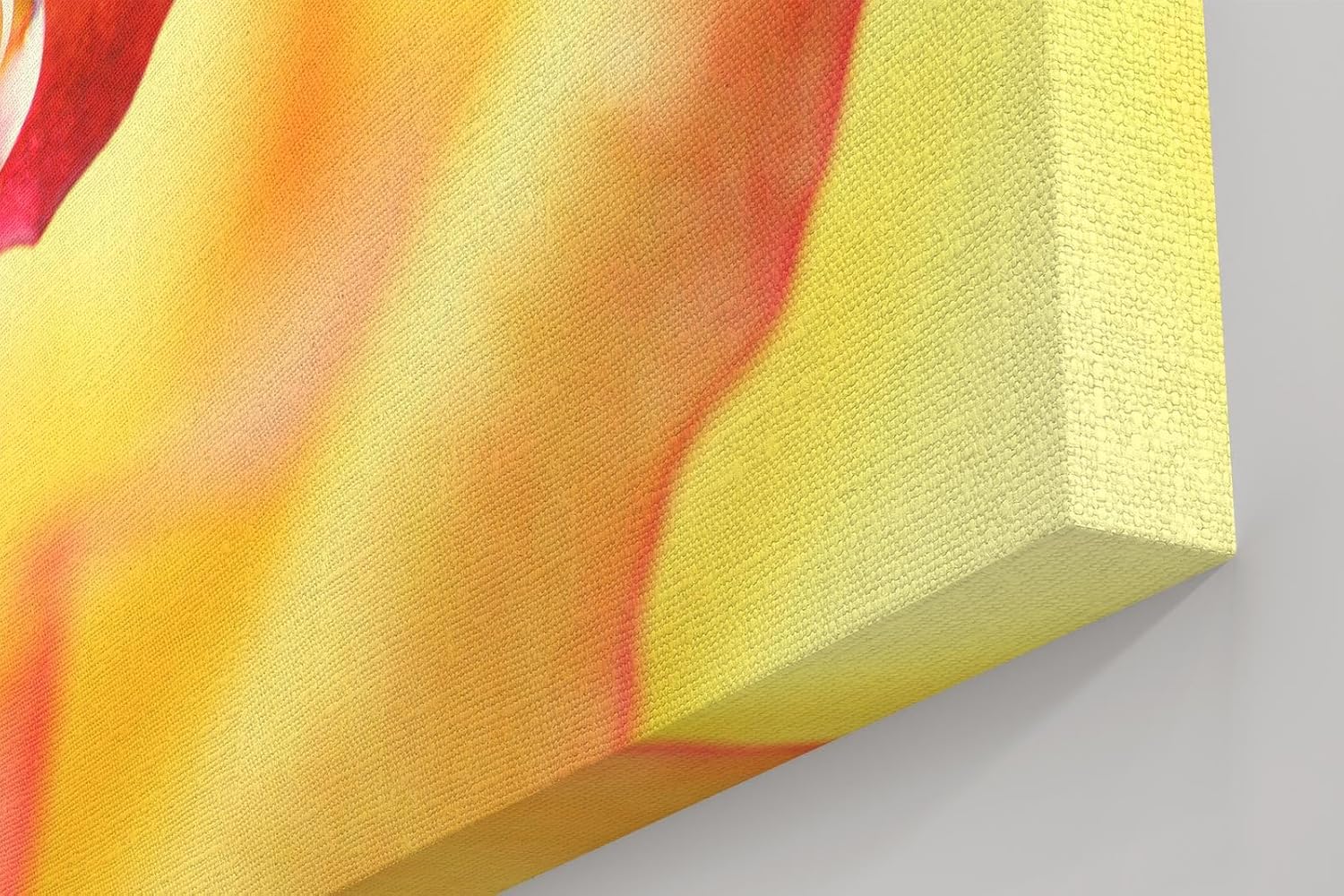 Sinus Art Wandbild 120x80cm Wassertropfen auf rotem Blütenrand – poetisches Motiv mit emotionaler Tiefe