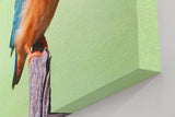 Sinus Art Wandbild 120x80cm Leuchtend blauer Eisvogel auf Ast vor ruhigem Hintergrund – naturgetreue Darstellung