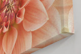 Sinus Art Wandbild 120x80cm Zentrierte Dahlienblüte mit perfekter Symmetrie und weicher Textur