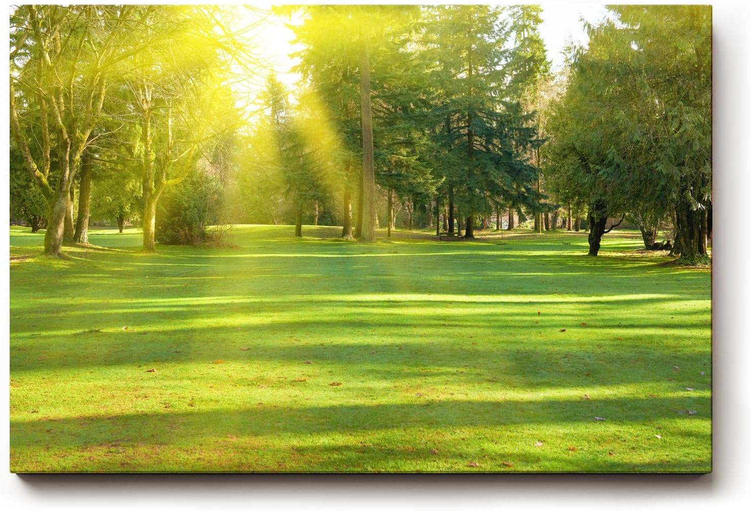 Sinus Art Wandbild 120x80cm Lichtdurchfluteter Wald mit kräftigem Grün und sanftem Schattenwurf