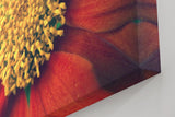 Sinus Art Wandbild 120x80cm Großaufnahme einer roten Blüte mit leuchtend gelbem Zentrum – naturstark und markant