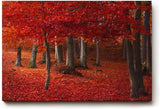 Sinus Art Wandbild 120x80cm Hochsättigtes Rot in Kombination mit natürlichen Brauntönen schafft ein warmes und dynamisches Raumerlebnis